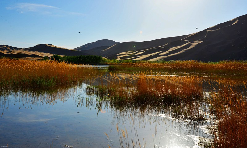 20140503_6a6350292acd7db90e49fiKhOwo3ZoIK (1).jpg