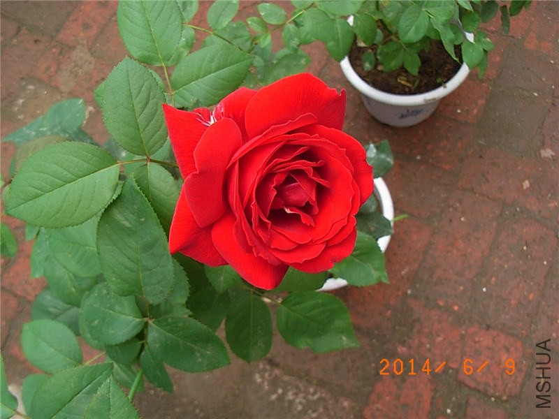 ������ (7).JPG