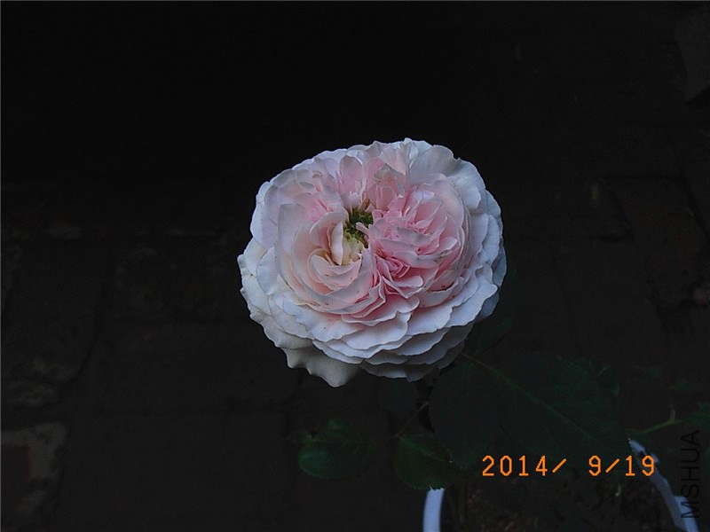 ��ɯ�մ� (23).JPG