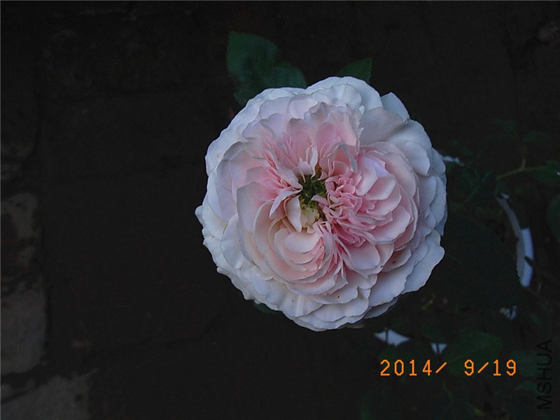 ��ɯ�մ� (24).JPG