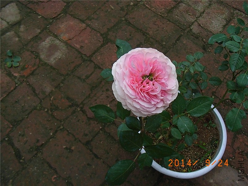 ��ɯ�մ� (28).JPG