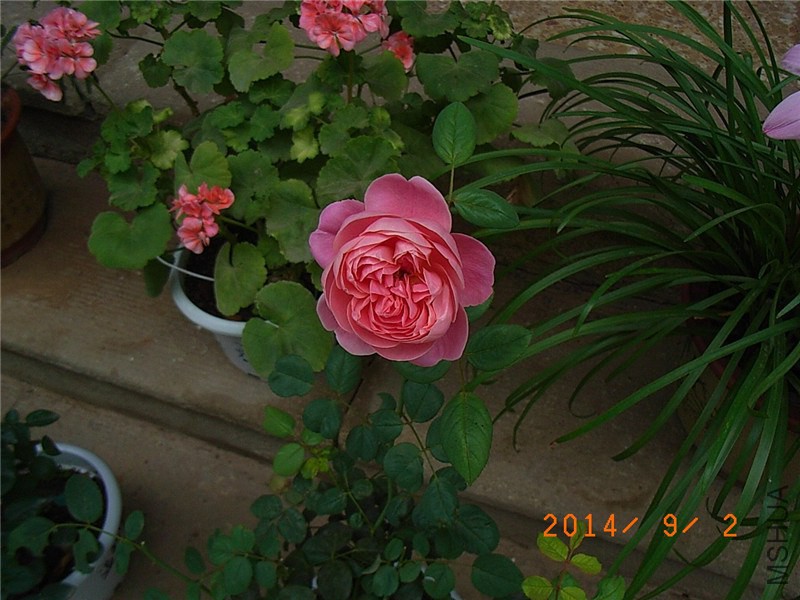 ��֮�⻷ (1).JPG