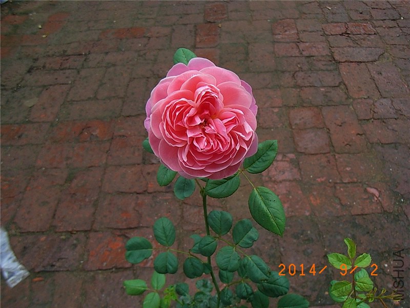 ��֮�⻷ (4).JPG