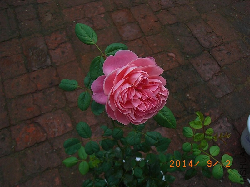 ��֮�⻷ (5).JPG