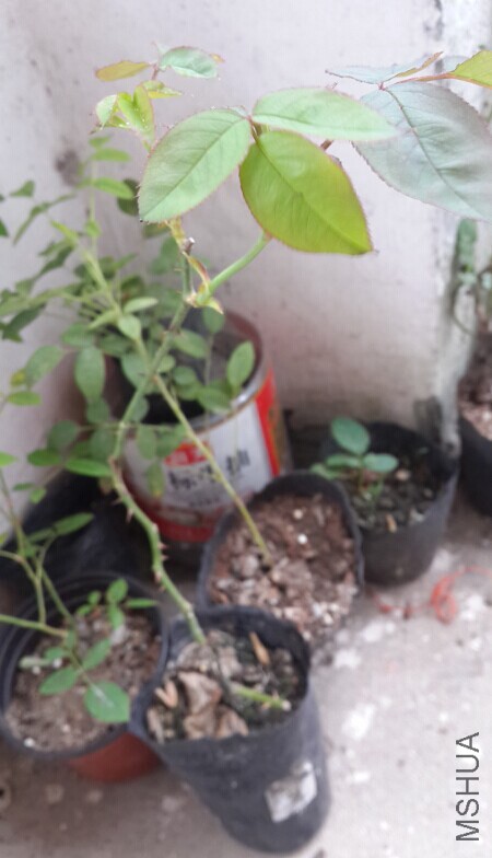 QQͼƬ20140930123408.jpg