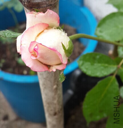 QQͼƬ20140930131631.jpg