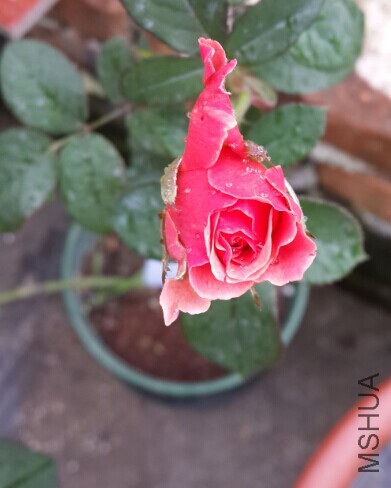 QQͼƬ20140930131715.jpg