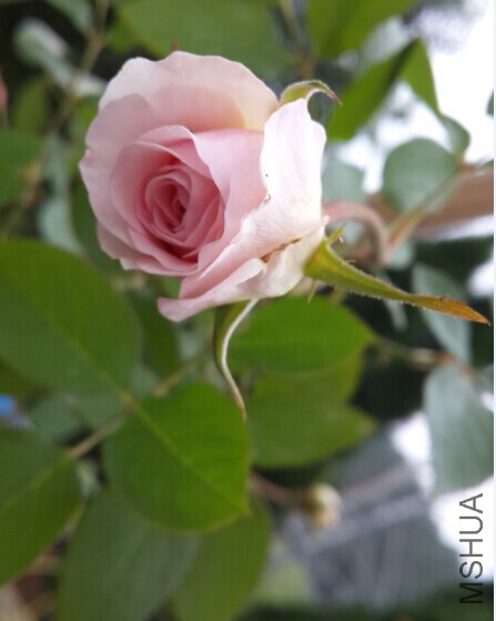 QQͼƬ20140930131751.jpg