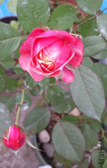 QQͼƬ20140930131811.jpg