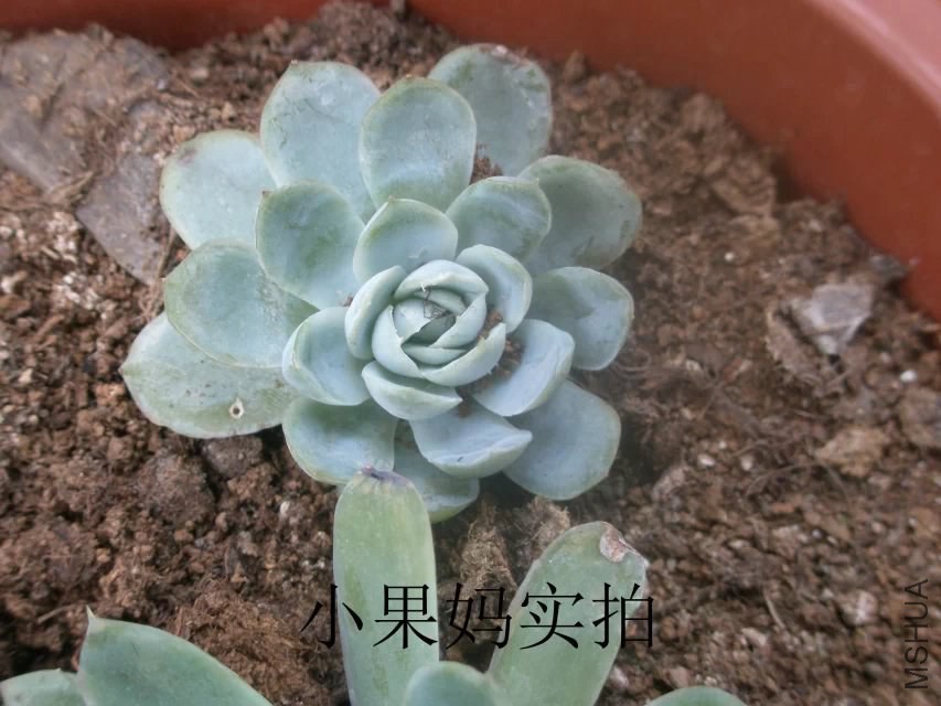 6���ױ�÷1��.jpg