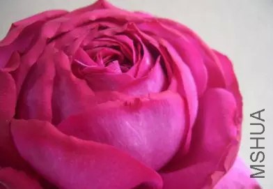 ŷ���� ���.JPG