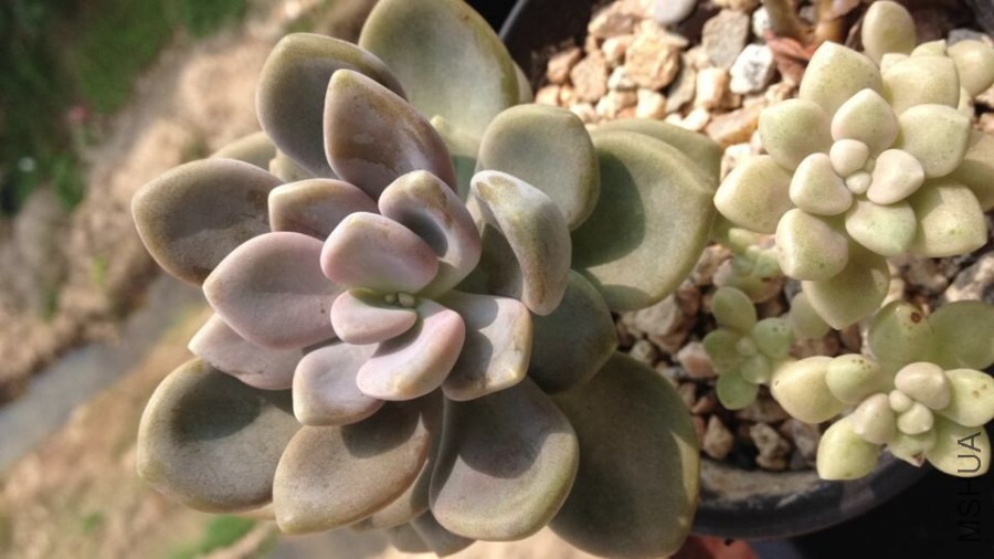 QQͼƬ20140929095349.jpg