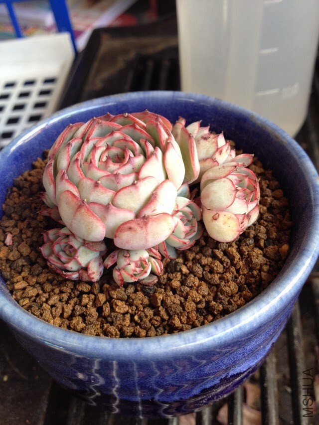 QQͼƬ20140930162141.jpg