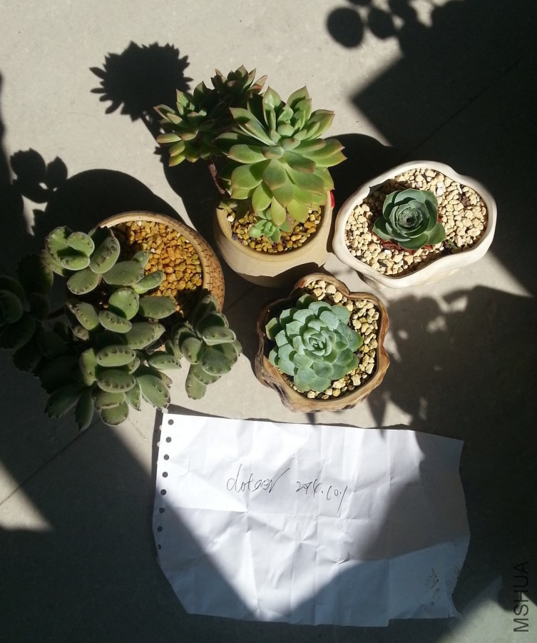 20141001_130937_Android_����.jpg