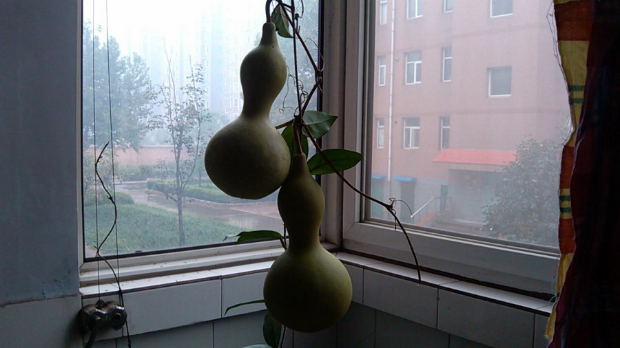 IMG_20141001_160123.jpg
