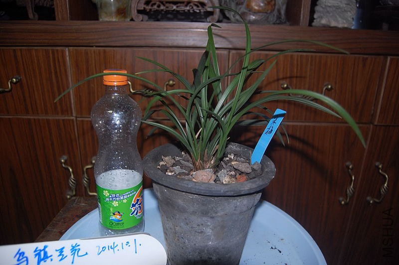 DSC_00090009.JPG