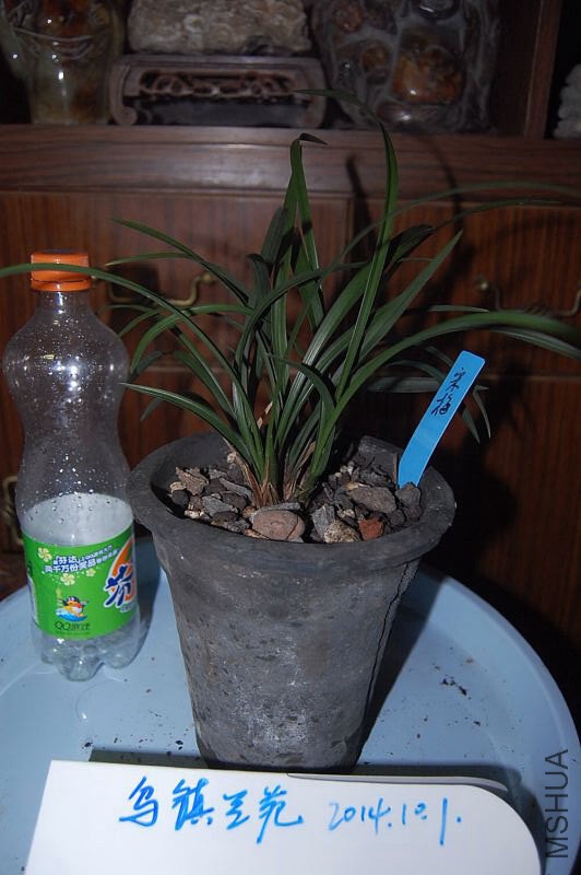 DSC_00100010.JPG