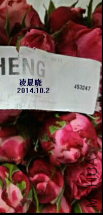 1412235438283.jpg