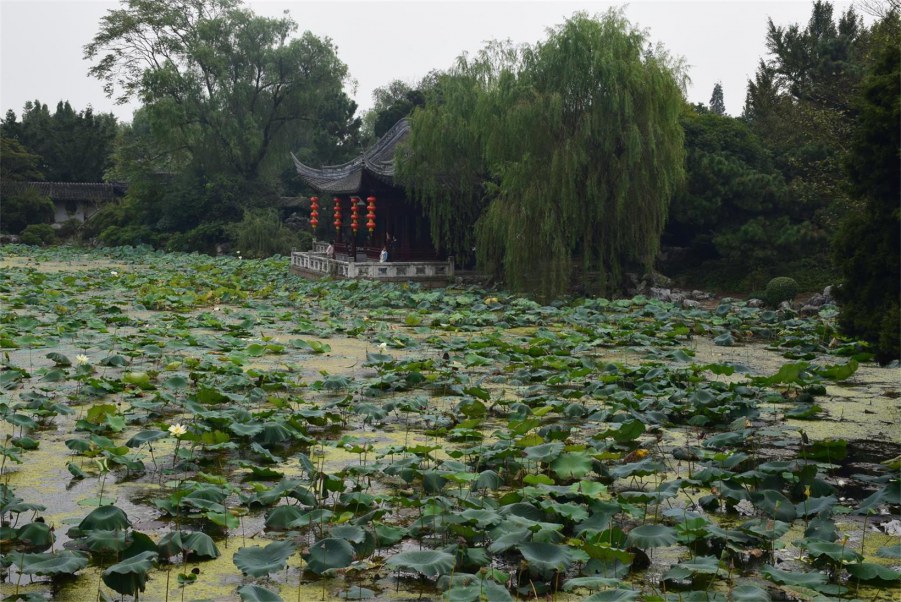 �Ϻ����԰ 060.JPG