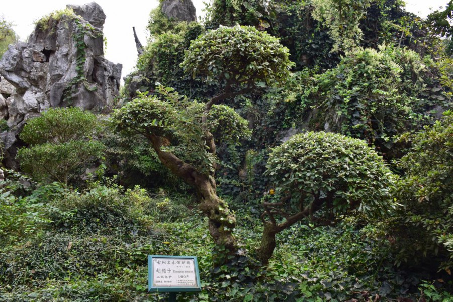 �Ϻ����԰ 126.JPG