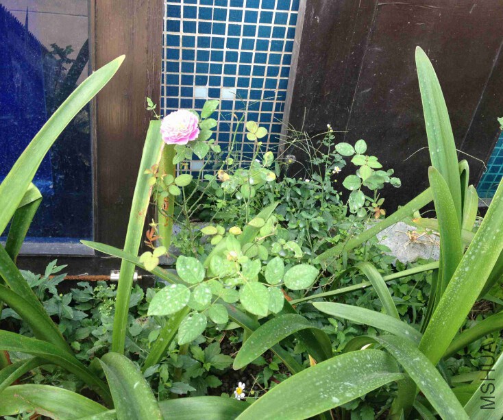 QQ��ͼ20141002235914.jpg