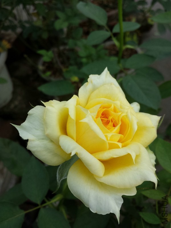 20140906_171943.jpg