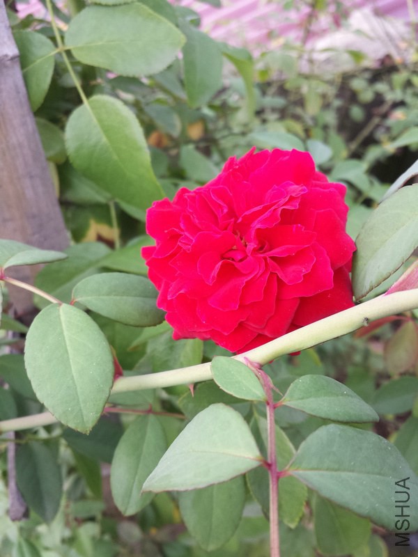 20140906_172024.jpg