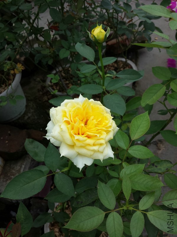 20140907_105444.jpg