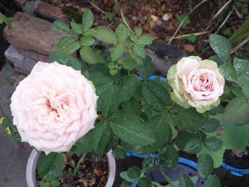 20140914_085407.jpg