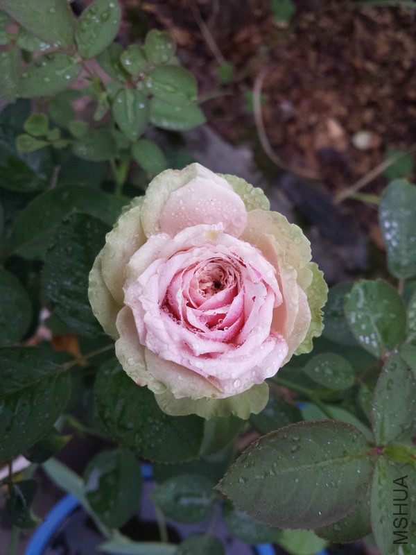 20140914_085416.jpg
