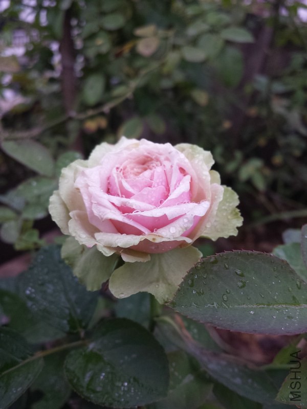 20140914_085423.jpg