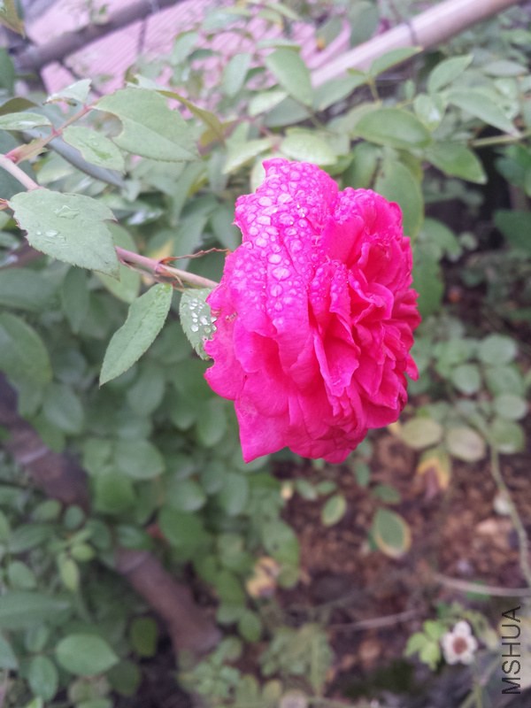 20140914_085444.jpg