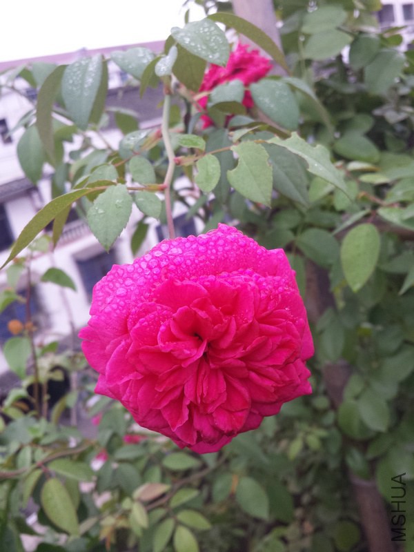 20140914_085451.jpg