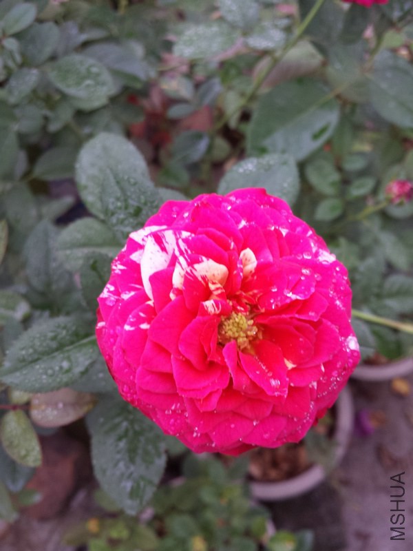 20140914_085649.jpg