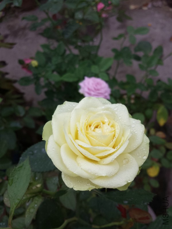 20140914_085700.jpg