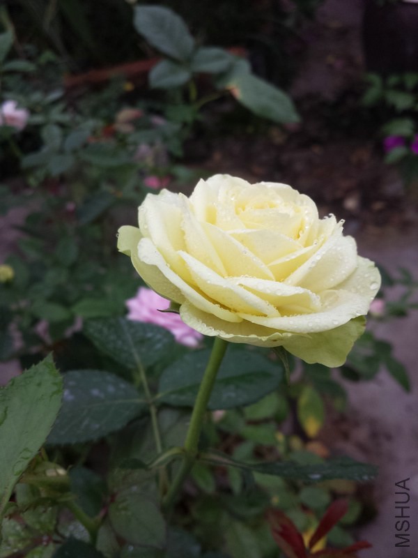 20140914_085708.jpg