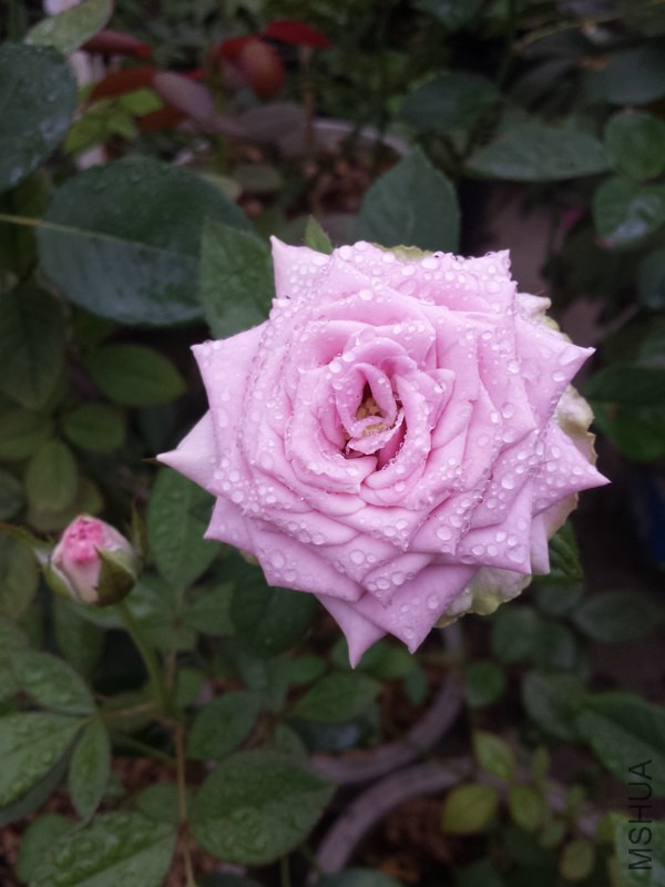 20140914_090103.jpg