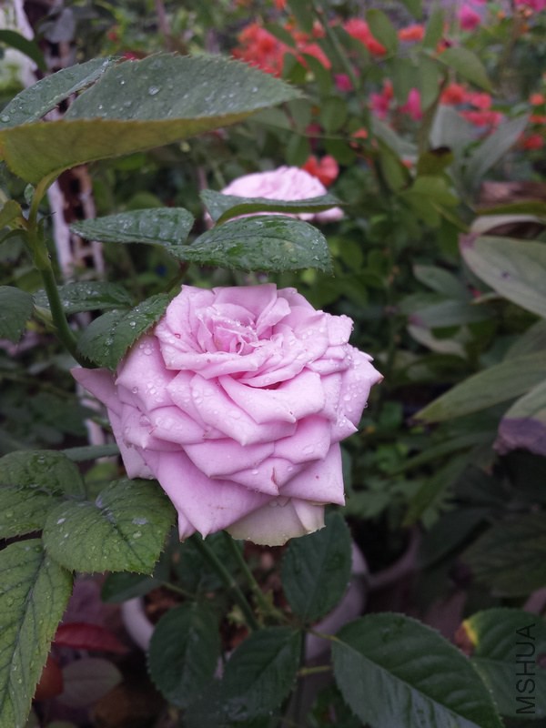 20140914_090110.jpg