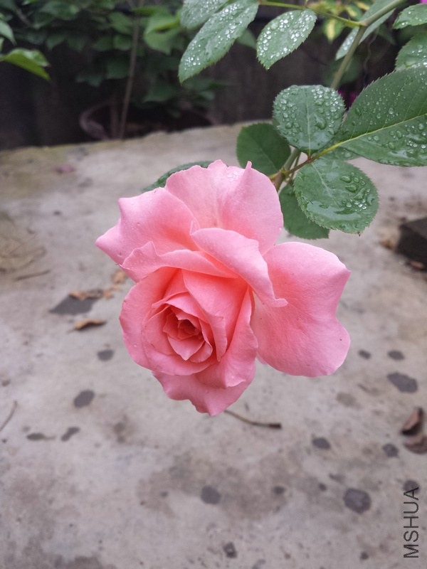 20140914_090153.jpg