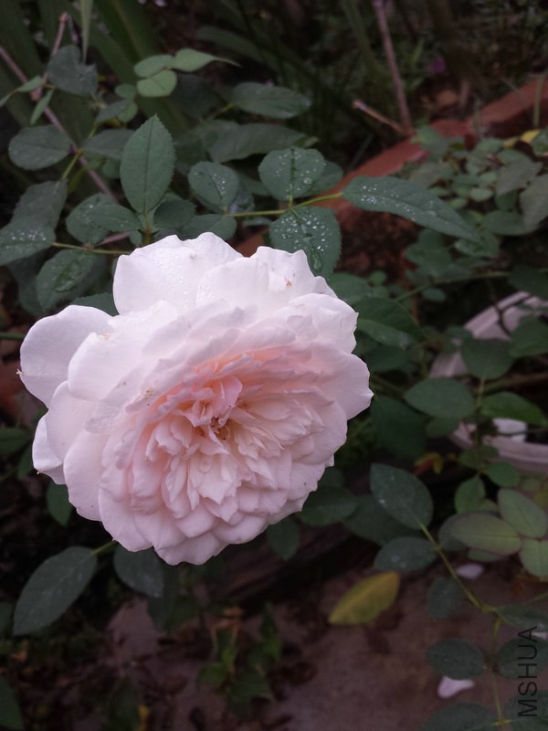 20140914_090200.jpg