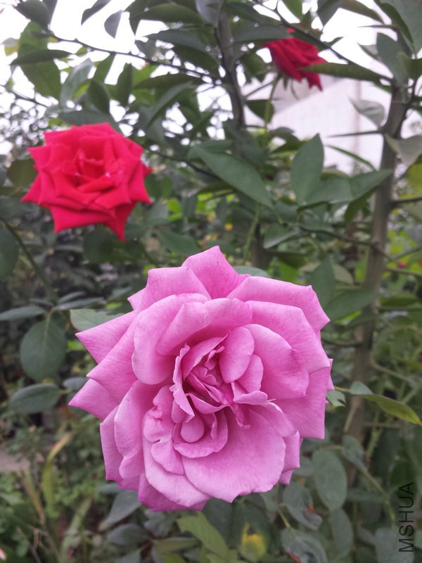 20140914_090311.jpg