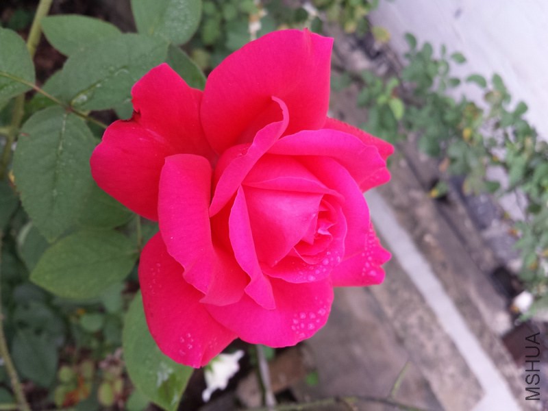 20140914_091225.jpg