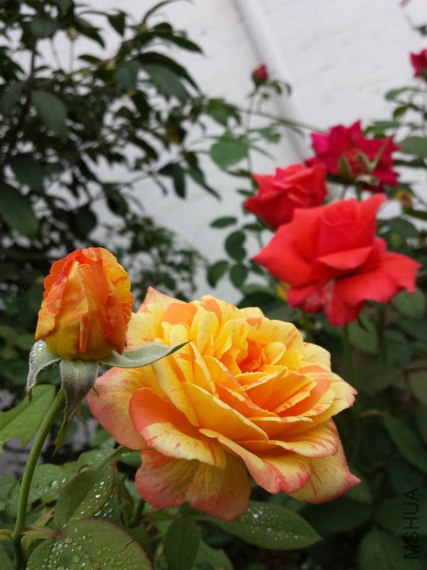 20140914_091320.jpg