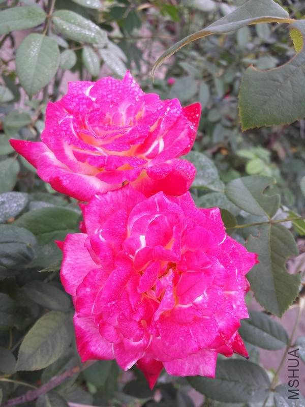 20140914_091409.jpg