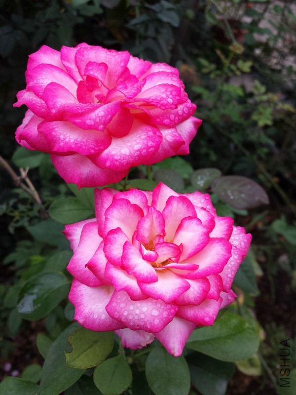 20140914_093154.jpg