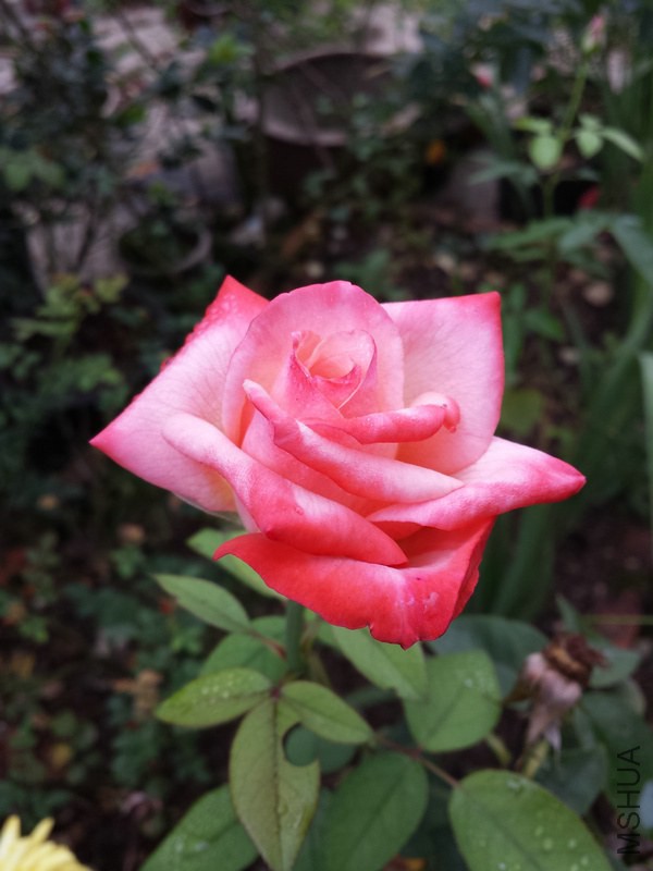20140914_093222.jpg
