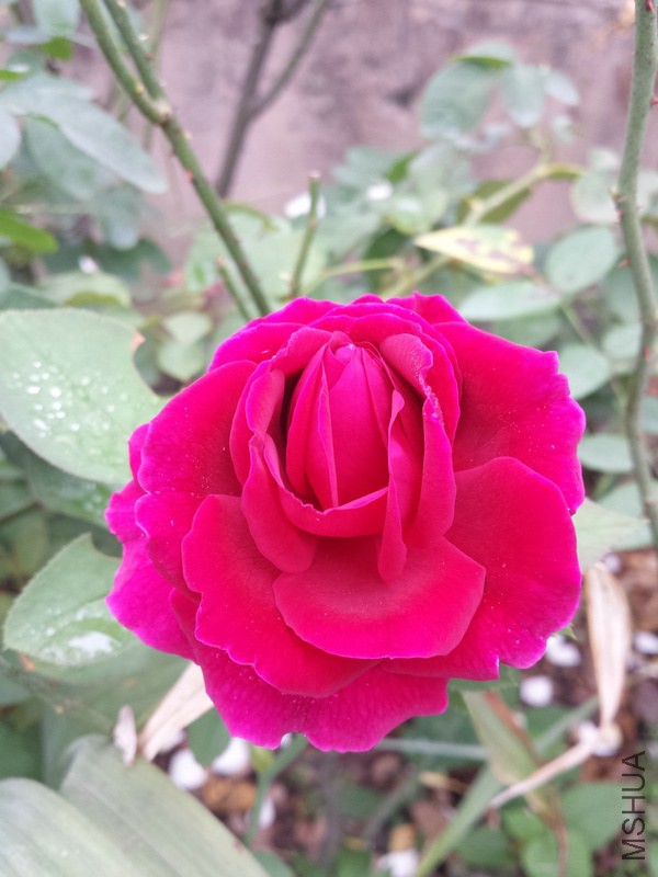 20140914_094608.jpg