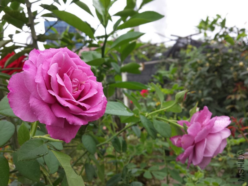20140914_094854.jpg
