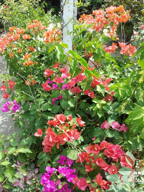 20140921_105217.jpg