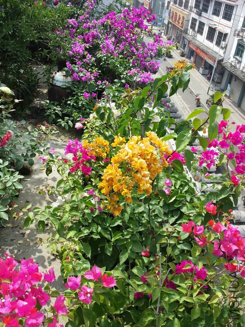 20140921_105226.jpg